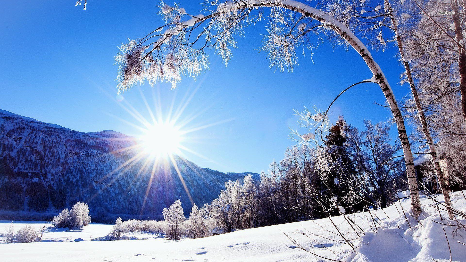 Winter Solstice