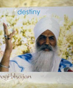 patience pays yogi bhajan patience pays yogi bhajan